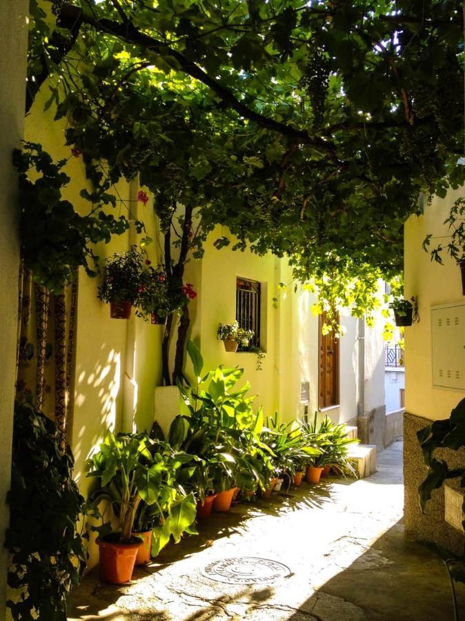 Casa Corasol, A Cozy, Comfy, 2Br House- Panoramic View And Rooftop Canar ภายนอก รูปภาพ